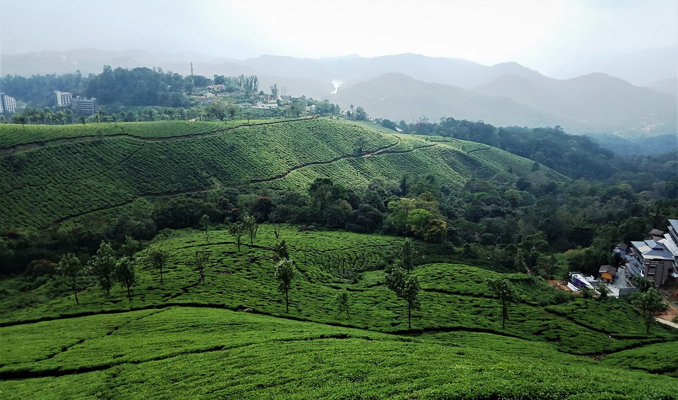 The city of Munnar