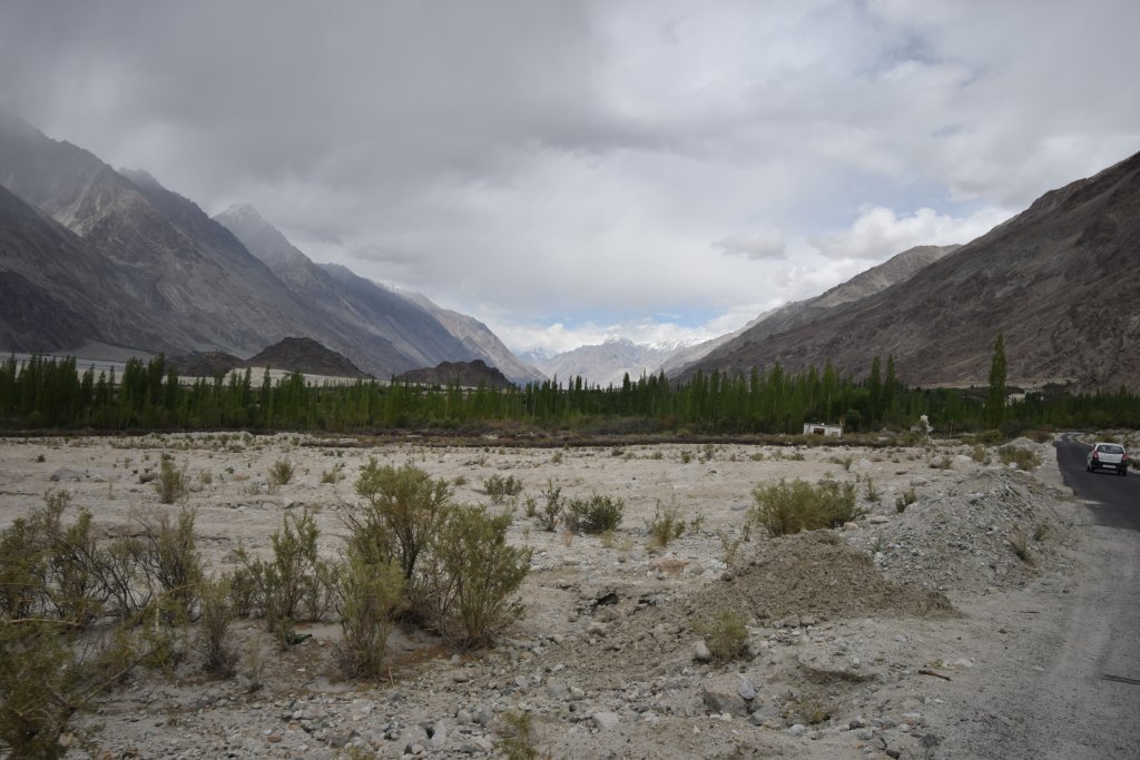 Nubra Valley in Summer