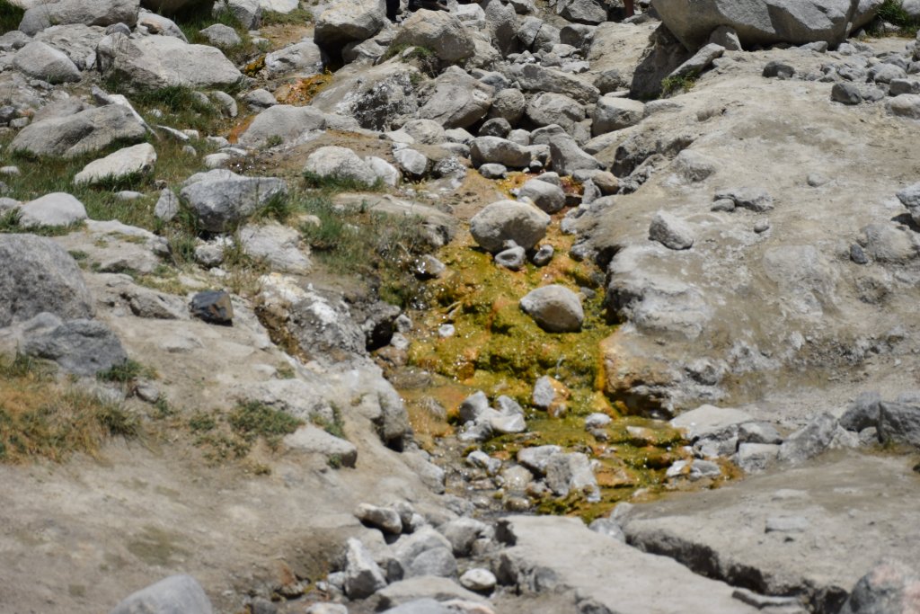 Hot Springs at Panamik