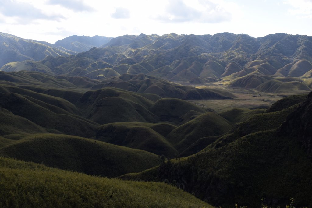 Dzokou Valley shares itself between states of Nagaland and Manipur,India