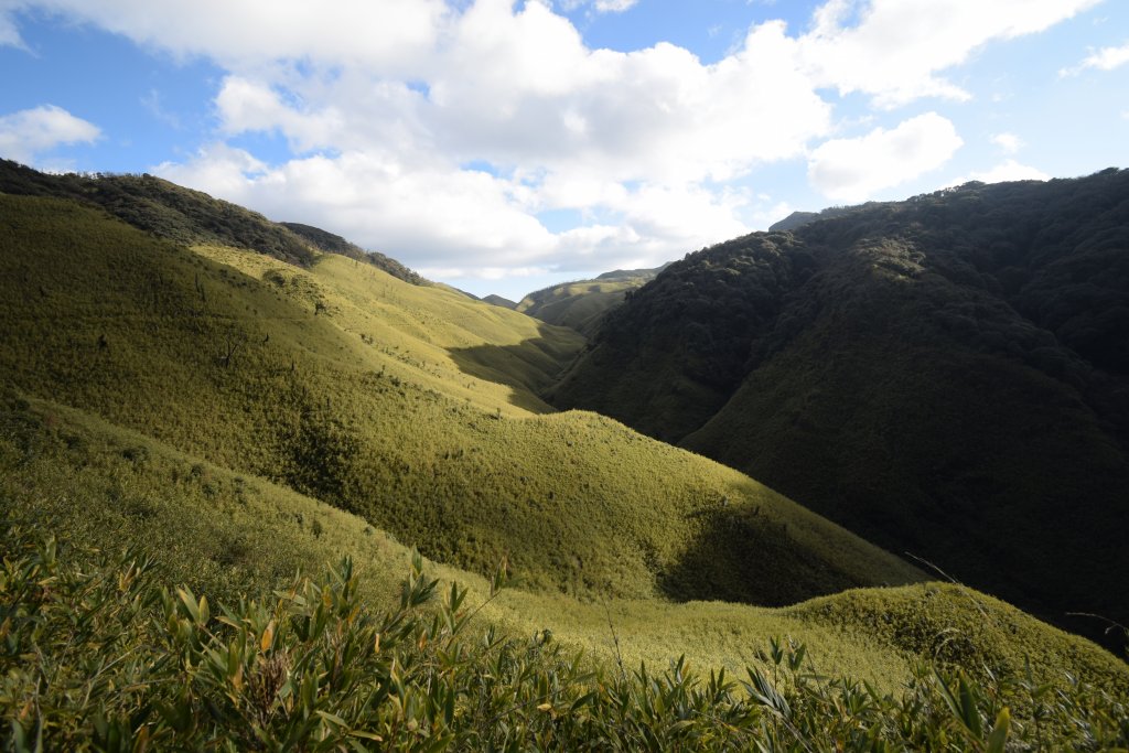 That's why you come to Dzokou-Enchanting greenery