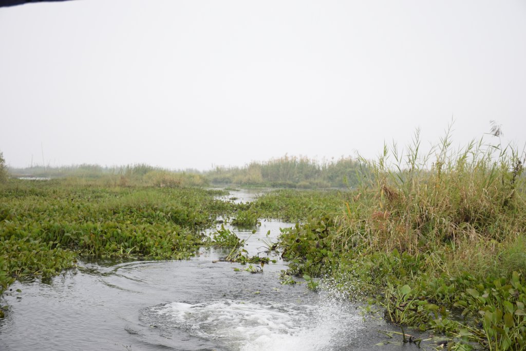 The beautiful loktak lake in morning hours