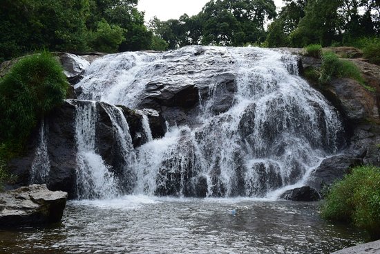 Catherine falls,Ooty