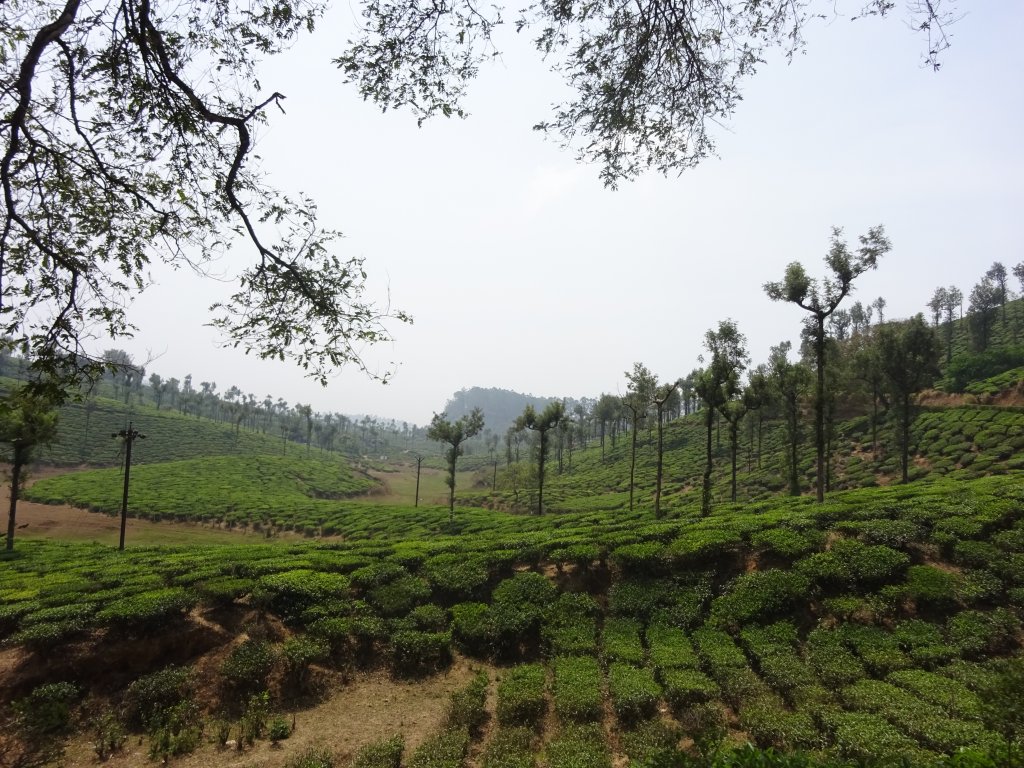 Valparai falls on opposite side of Highways  through Munnar