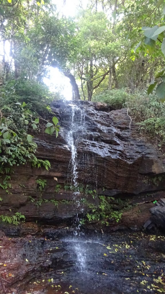 Shanthi Falls,KR hills