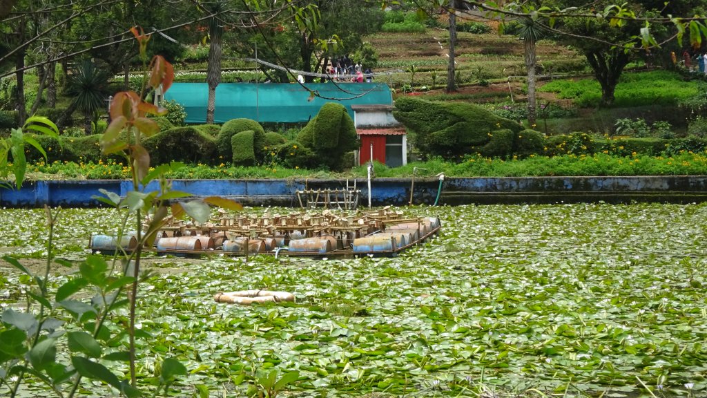 The sidewaters,Kodaikanal lake