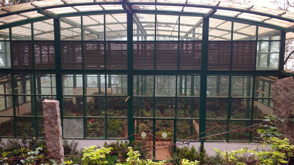 Greenhouse at KR hills