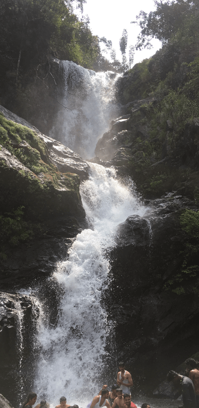 Iruppu Falls,Coorg