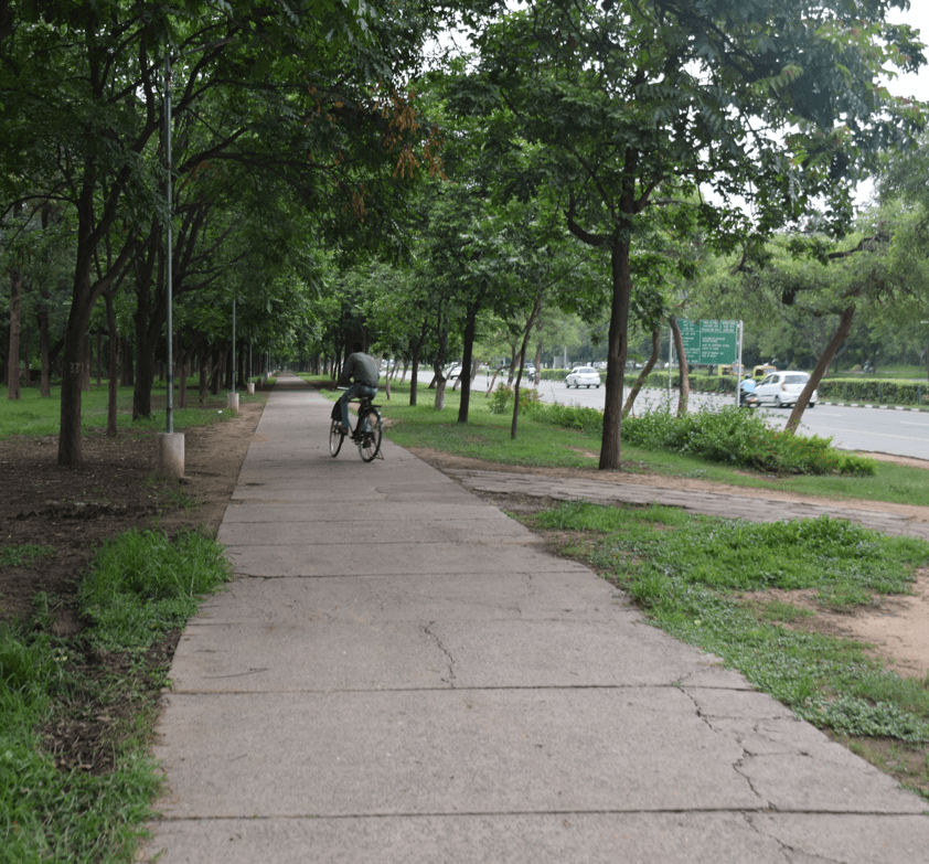 Rose garden pathways,Chandigarh