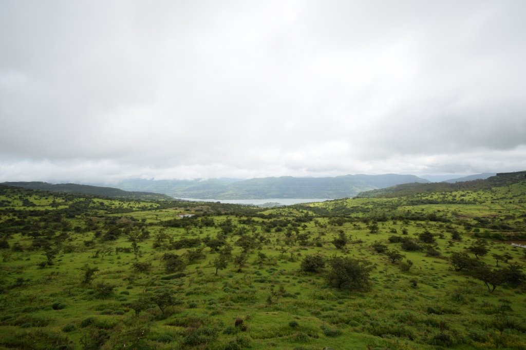 Kaas plateau in monsoon