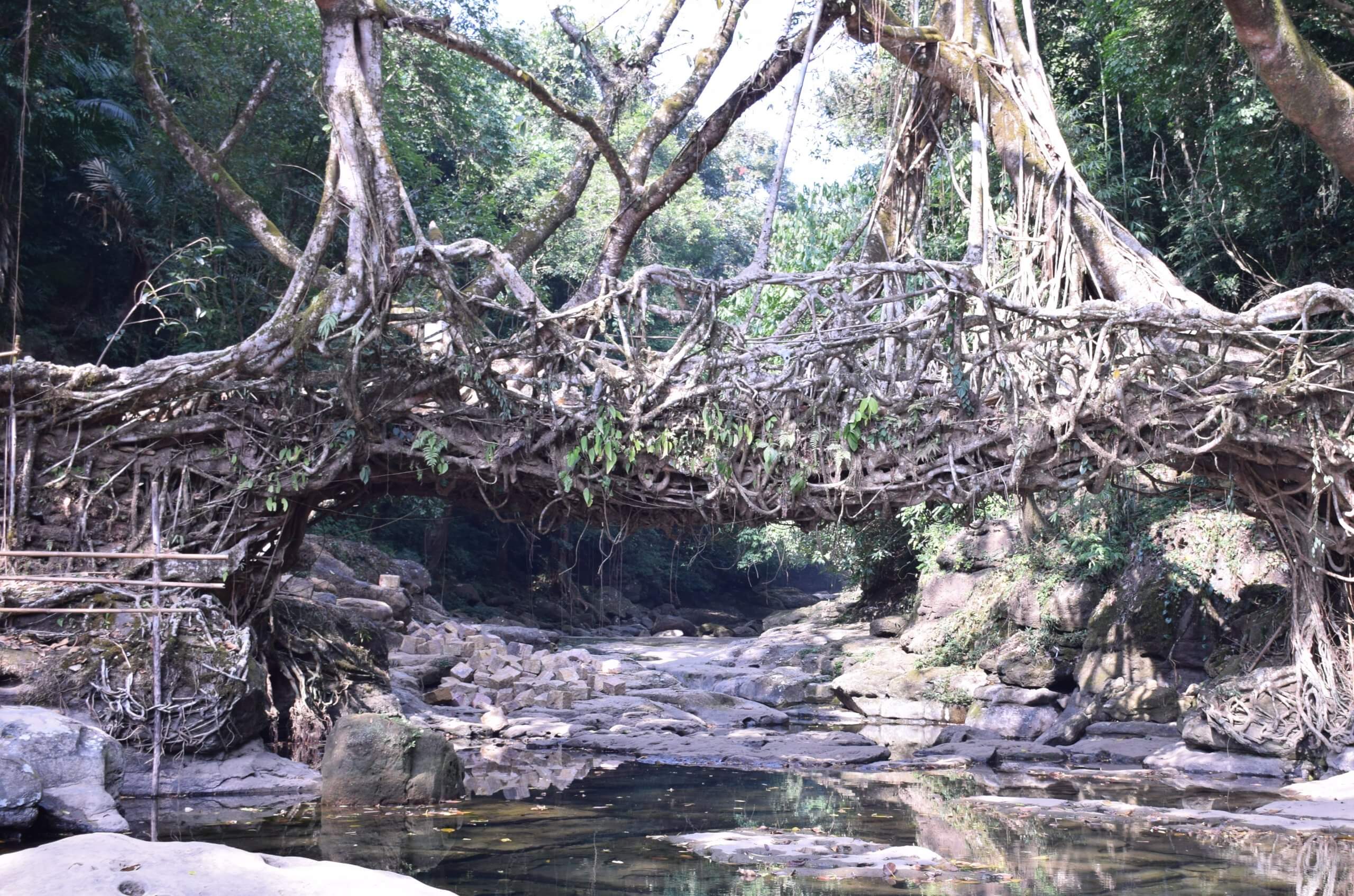 Double Decker Route Bridge,Meghalaya