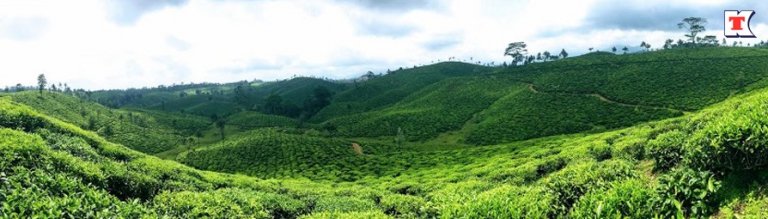 Watch beautiful hills of Valparai, Highways and Silent Valley with the grand Athirapally falls. Watch beautiful hills of Valparai